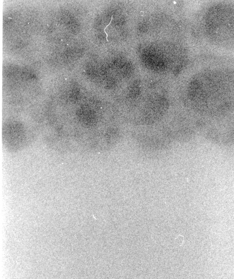 scanScan-140422-0007