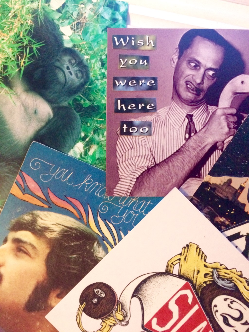 did you get a postcard from me? I hope not.